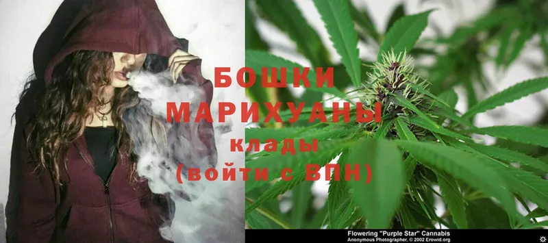 Бошки марихуана Bruce Banner  гидра ссылки  Каменногорск 